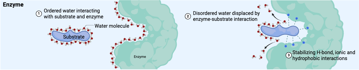 课题组首页轮播图3