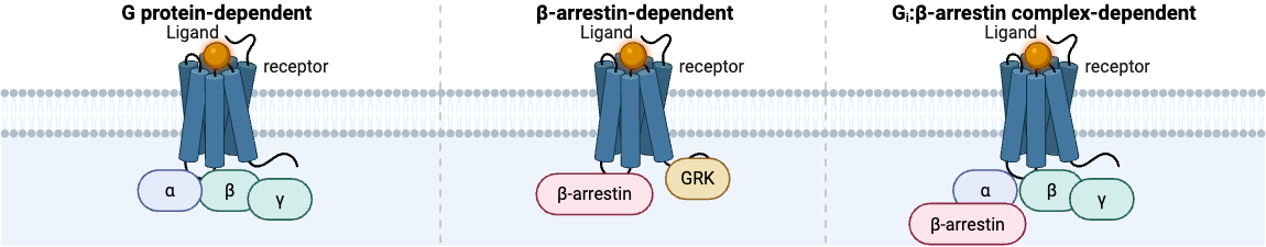 课题组首页轮播图4